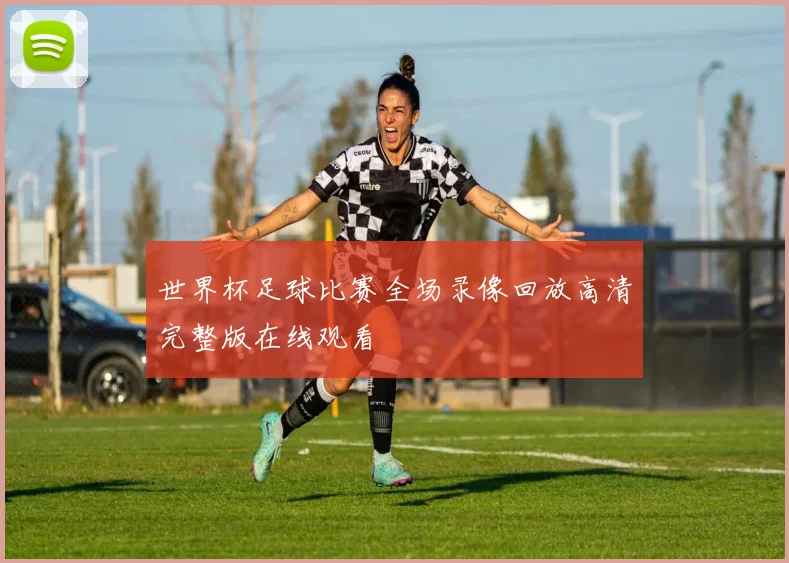 世界杯足球比赛全场录像回放高清完整版在线观看